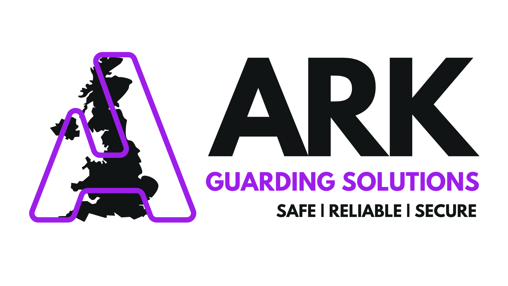 Professional Security Team